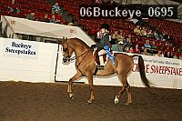 06buckeye_0695 proof