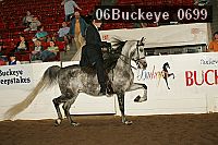 06buckeye_0699 proof