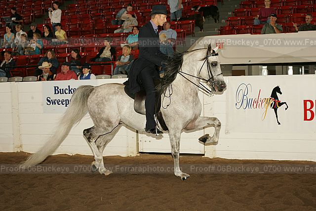 Proof 06buckeye_0700