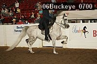 06buckeye_0700 proof