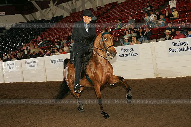 Proof 06buckeye_0701