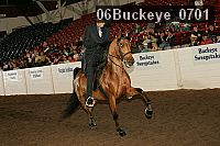 06buckeye_0701 proof