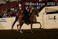 06buckeye_0702 proof