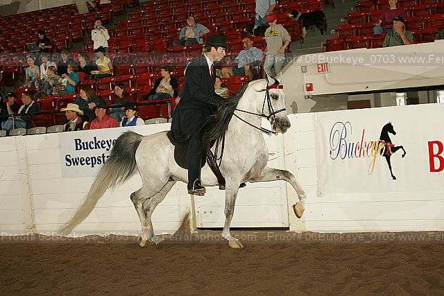 Proof 06buckeye_0703