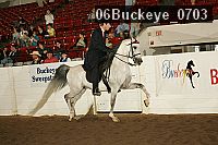 06buckeye_0703 proof