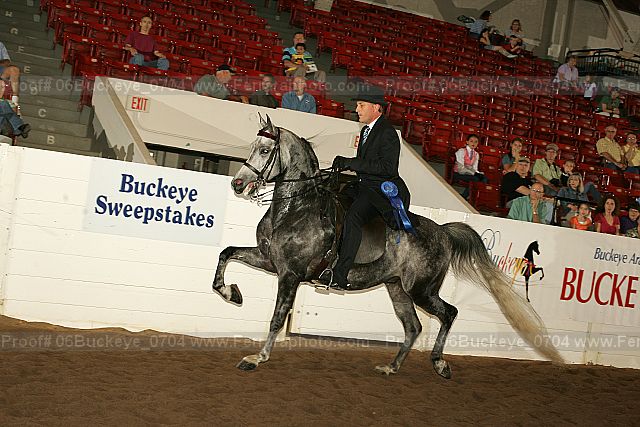 Proof 06buckeye_0704