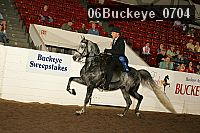 06buckeye_0704 proof