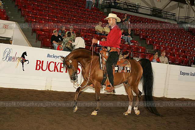 Proof 06buckeye_0706