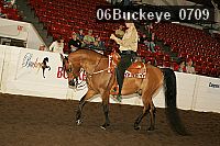 06buckeye_0709 proof