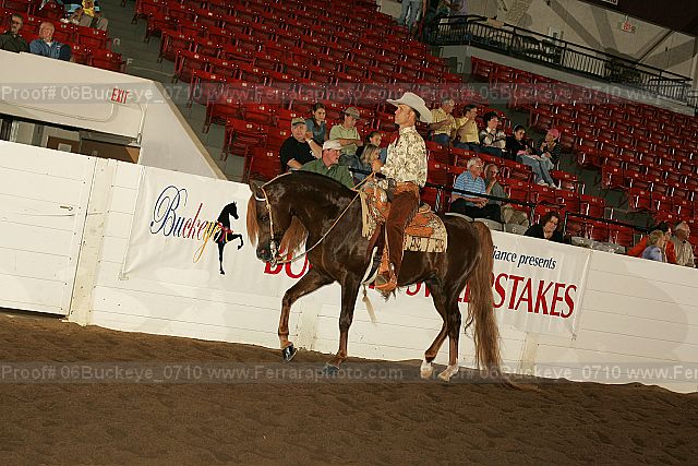 Proof 06buckeye_0710