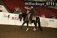 06buckeye_0711 proof