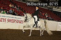 06buckeye_0715 proof
