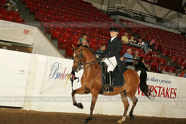 Proof 06buckeye_0716