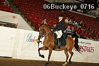 06buckeye_0716 proof