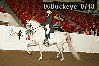 06buckeye_0718 proof