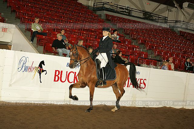 Proof 06buckeye_0719