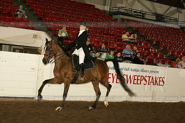 Proof 06buckeye_0720