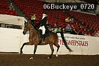 06buckeye_0720 proof