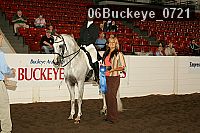06buckeye_0721 proof