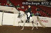 06buckeye_0722 proof