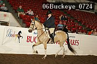 06buckeye_0724 proof