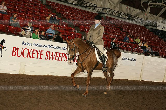 Proof 06buckeye_0725