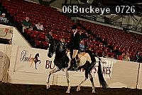 06buckeye_0726 proof