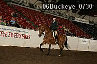 06buckeye_0730 proof