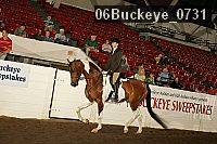 06buckeye_0731 proof