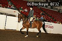 06buckeye_0732 proof