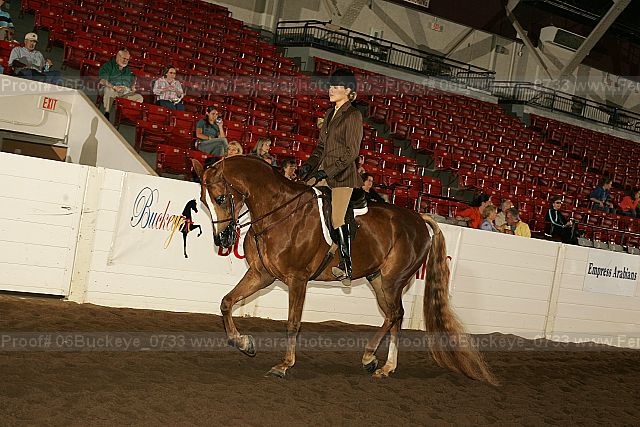 Proof 06buckeye_0733