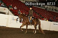 06buckeye_0733 proof