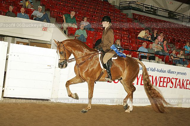 Proof 06buckeye_0735