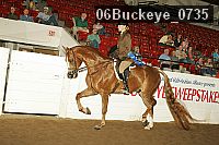 06buckeye_0735 proof