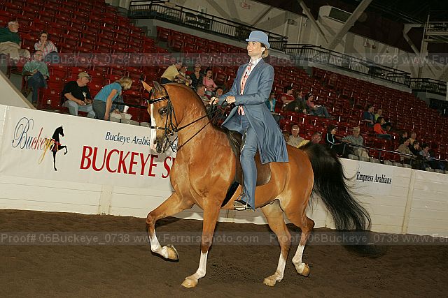 Proof 06buckeye_0738