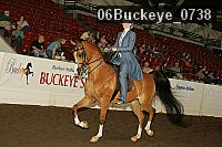 06buckeye_0738 proof
