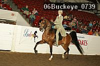06buckeye_0739 proof