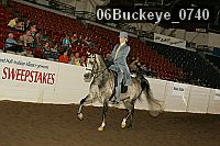 06buckeye_0740 proof