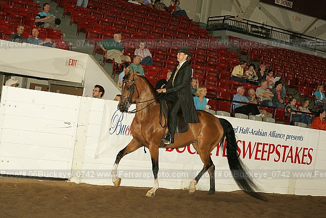Proof 06buckeye_0742