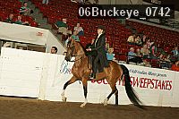 06buckeye_0742 proof