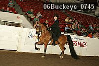 06buckeye_0745 proof