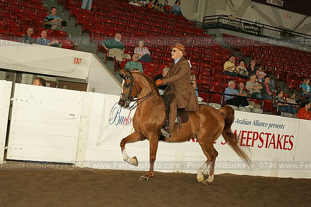 Proof 06buckeye_0746