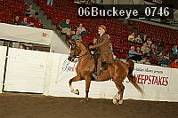 06buckeye_0746 proof