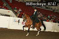 06buckeye_0747 proof