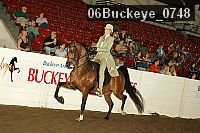 06buckeye_0748 proof