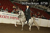 06buckeye_0750 proof