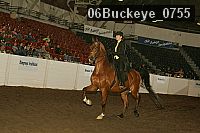 06buckeye_0755 proof
