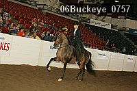 06buckeye_0757 proof
