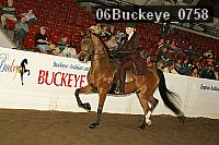 06buckeye_0758 proof