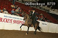 06buckeye_0759 proof